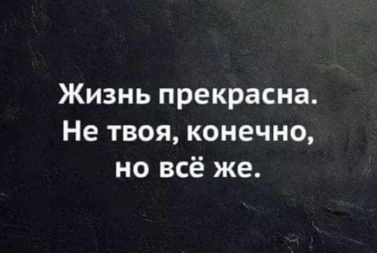 Конечно твоя. Черный юмор цитаты. Фразы с сарказмом короткие. Сарказм цитаты черный юмор. Чёрный юмор статусы.