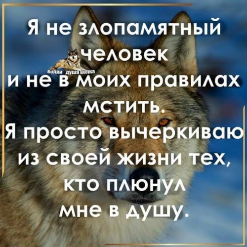 Лента по интересам - Статусы и цитаты - 1961098 - Tabor.ru