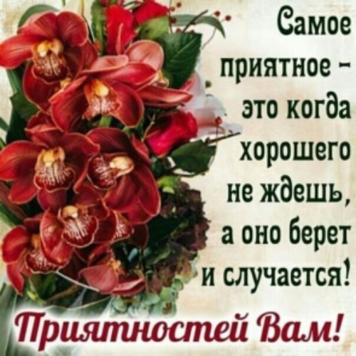 Открытки на все случаи жизни