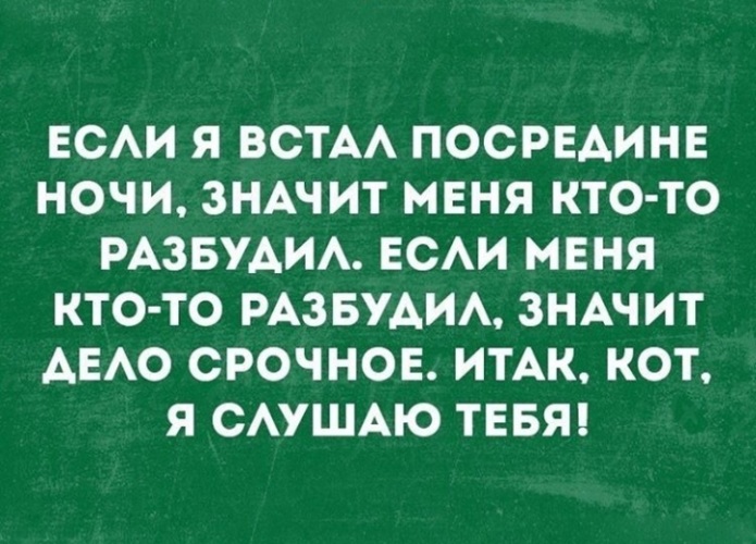 На кухне свинеет моя одиночь что значит