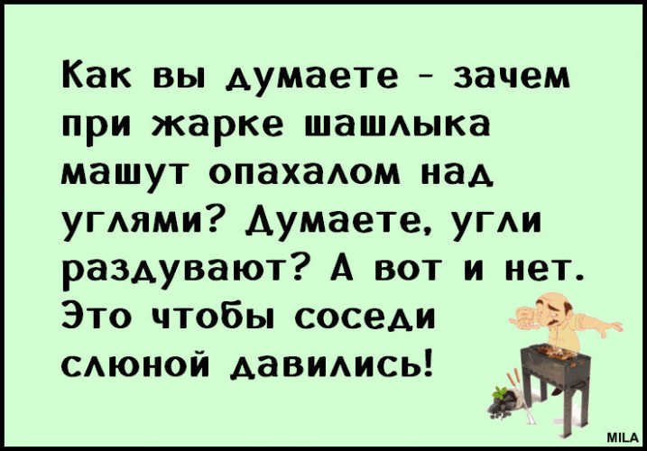 Зачем над. Как вы думаете зачем при жарке шашлыка машут. Чем машут над шашлыками. Машут над шашлыком. Машут на шашлык чтоб соседи слюной подавились.