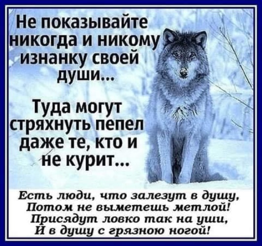 Покажи никогда. Никогда и никому не показывай изнанку своей души. Цитата не показывайте никогда и никому изнанку своей души.... Никому не показывай. Стряхнуть с души.