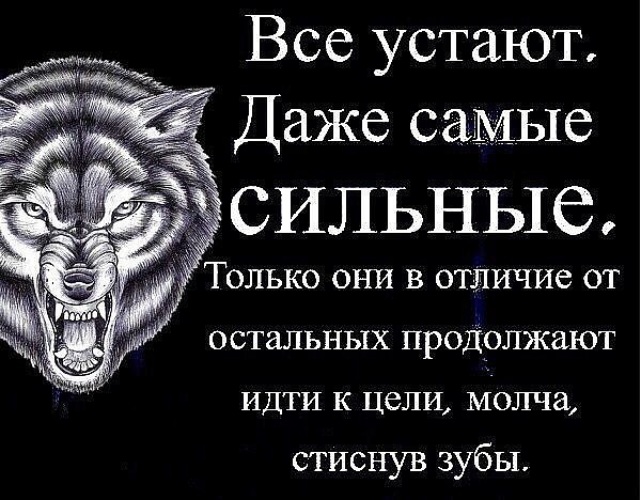 Они и только они. Все устают даже самые сильные. Даже самый сильный. Всё устают даже самые сильные. Даже если устал продолжай идти.