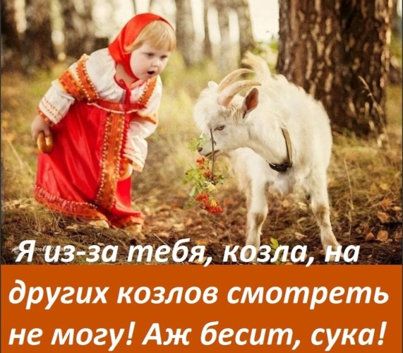 Богини с юмором картинки прикольные