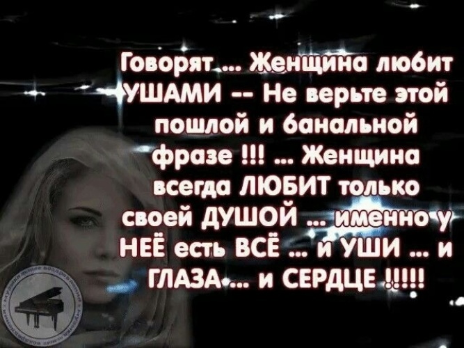 Сфинксы кошки демотиваторы. Люблю ушами что значит. Большинство женщин любят ушами но те которые любят ртом. Женщина любит ушами. Люблю ушами что значит.