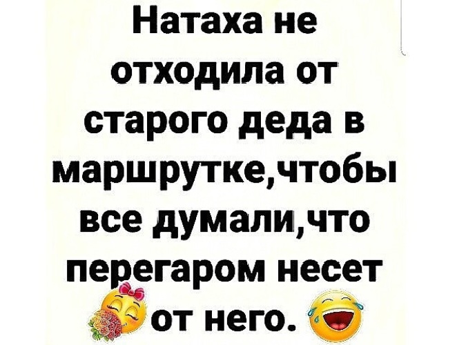 Не знала горя черепаха но тут приехала турист натаха