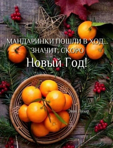Под Новый Год Мандарины Под Новый Год Мандарины