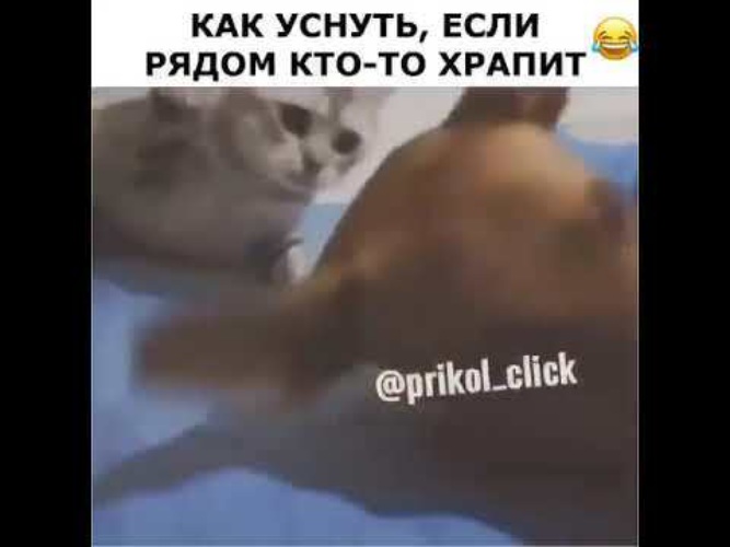 Как уснуть если рядом храпит человек. Мужчина храпит. Спящий человек. Как уснуть при храпе другого человека. Храп во сне.