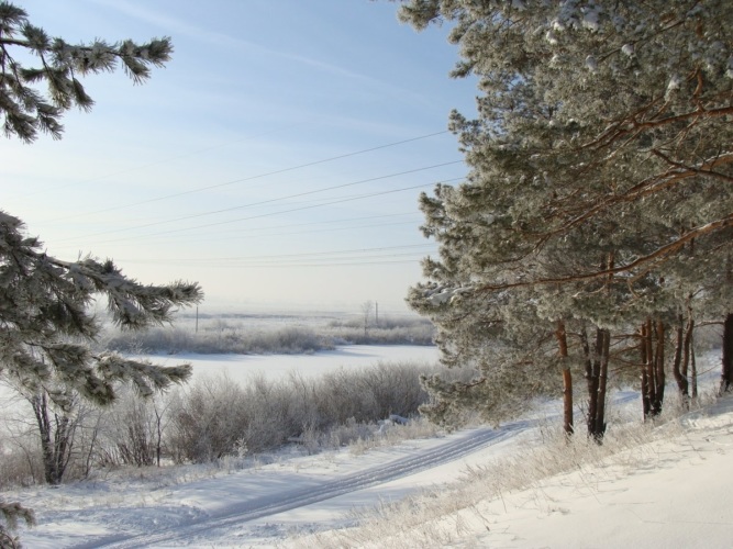 Опушка зимой. Зимний лес опушка. Зима на опушке леса. Солнечная Снежная опушка. Морозная опушка.