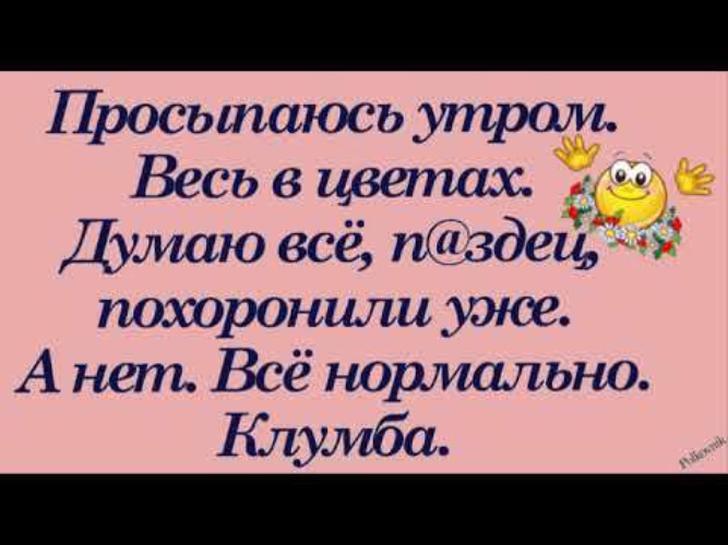 Фотосессия в цветах. Просыпаюсь утром весь в цветах думал похоронили. Прекрасный мир природы. Проснулся в клумбе. Просыпаюсь вокруг цветы.