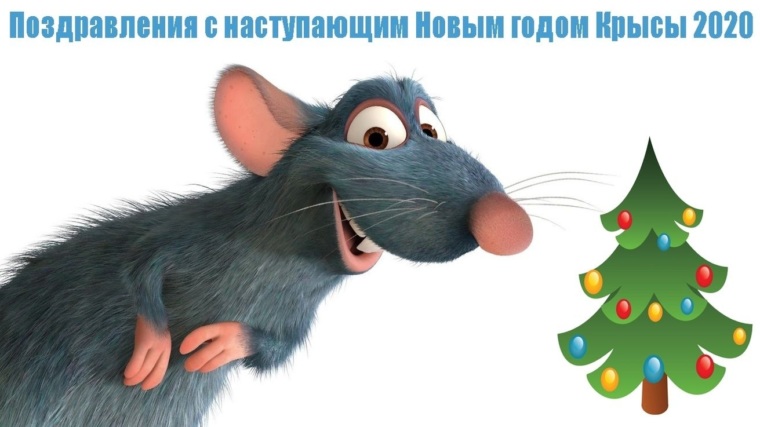 Как выглядит год крысы