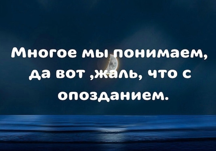 Многого не понимаю. Жалко цитаты. Мы все понимаем, жаль что с опозданием. Очень жаль статус. Многое мы понимаем да вот жаль с опозданием.