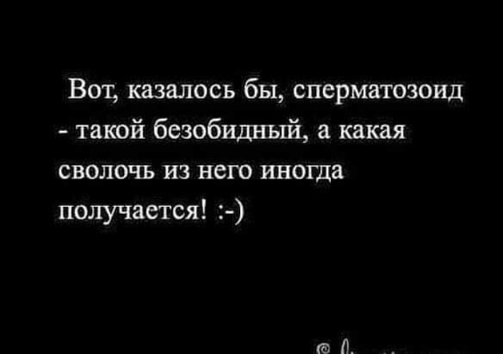 Что казалось бы его уже. Что казалось бы его уже. Высказывания фаины раневской. Что казалось бы его уже. Высказывания про 40 лет.