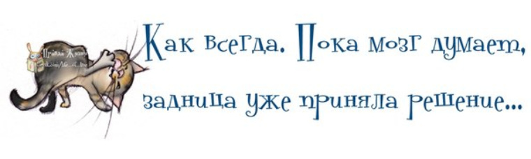 Пока всегда. Господи , даруй людям мозг и ещё инструкцию,. Пока мозг думает. Как всегда пока мозг думает. Пока мозг взвешивал и думал.