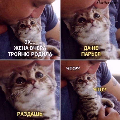 Общение кто тут. Общение кто тут