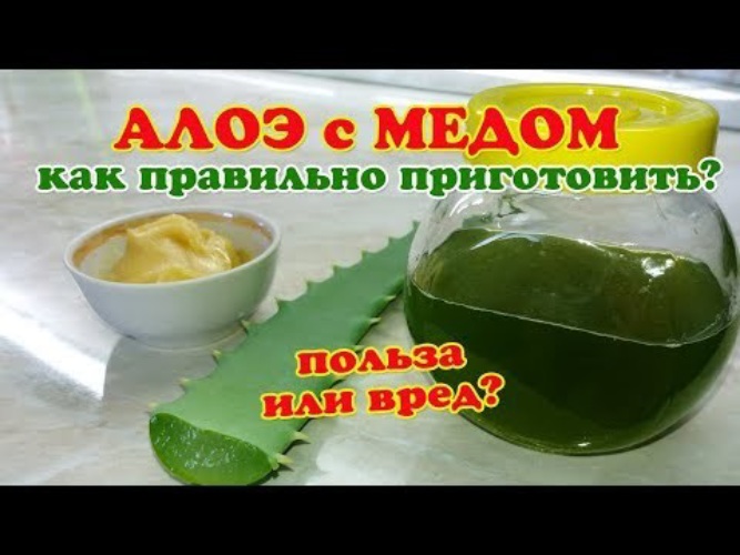 Алоэ мед кагор рецепт как приготовить в домашних условиях простой рецепт с фото пошагово