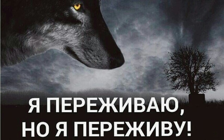 Не переживай за чужое. Волк одиночка статусы. Я волк одиночка. Душа волка.