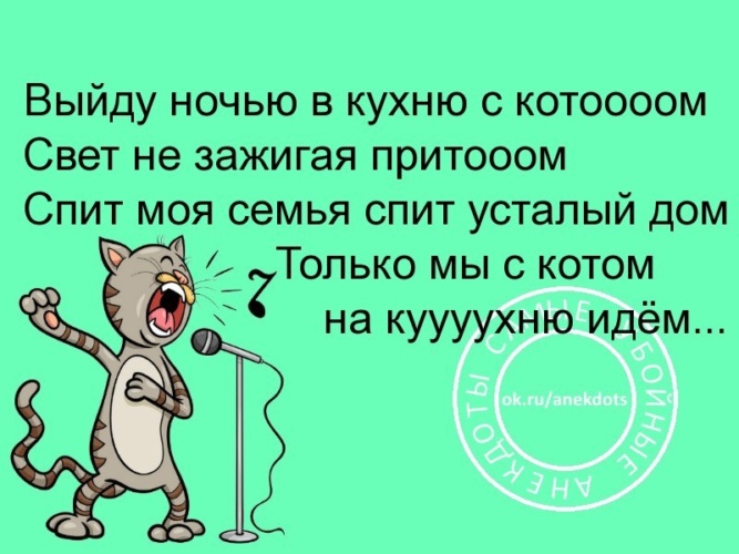 Выйду ночью в кухню с котом текст