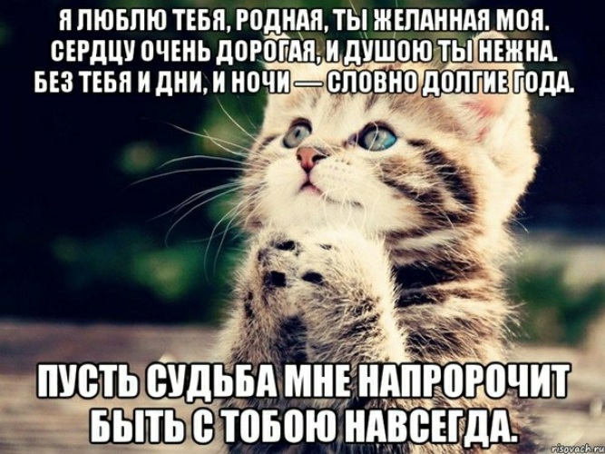 Мои Стихи - DRIVE2