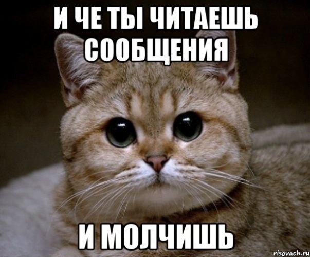 Иди Картинки