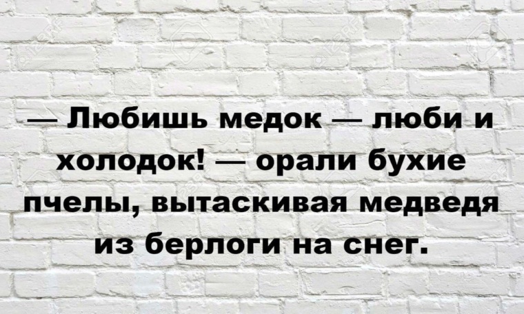 На языке медок а на уме. Любишь Медок люби и холодок. Любишь Медок люби и холодок орали бухие пчелы. Любишь Медок люби и холодок кричали пьяные. Любишь Медок люби.