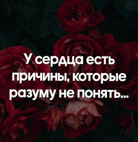 Женская мудрость картинки