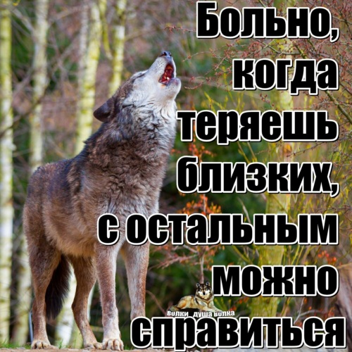 Больно потерять. Больно терять. Больно когда теряешь. Когда теряем близких. Больно когда теряешь близких.