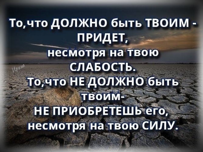 Жизнь продолжается несмотря ни на что картинки