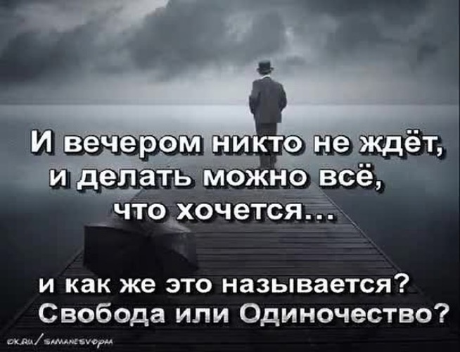 Хочу свободы. Свобода или одиночество. Одиночество это Свобода. Свобода и одиночество цитаты. Не одиночество а Свобода.