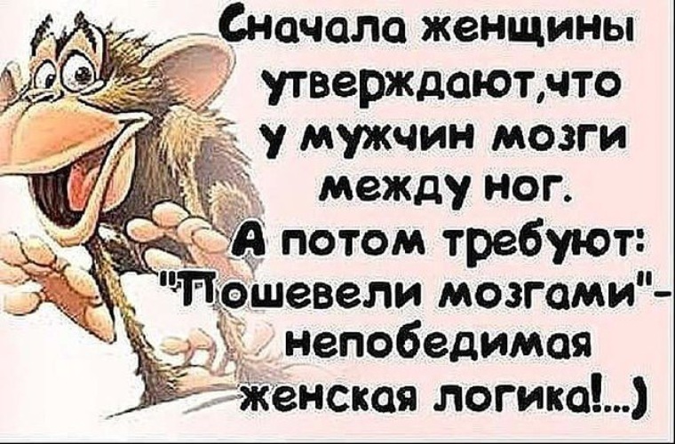 Потом проси. Высказывания о женской логике. Анекдоты про женскую логику. Шутки про женскую логику. Женская логика афоризмы.