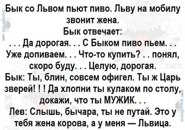 анекдоты про льва царя зверей. анекдоты про львов. анекдот про льва и быка. ты не царь ты бог анекдот про льва. смешные анекдоты про царя зверей.
