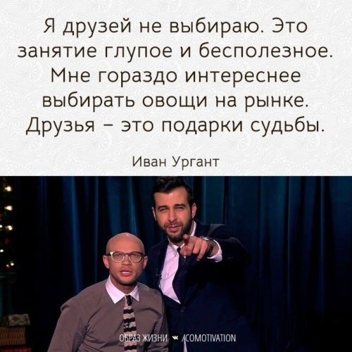 Общество цитаты. Общество цитаты
