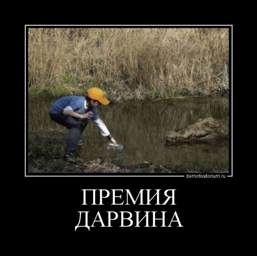 Примеры за что можно получить премию дарвина
