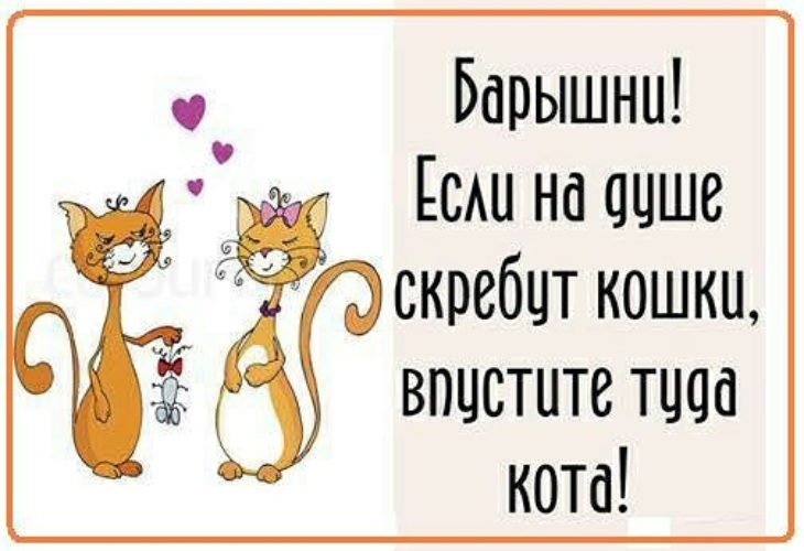 Кошки на душе скребут