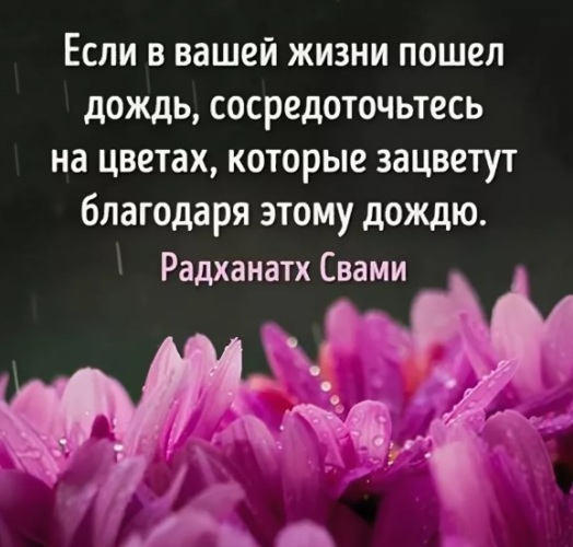 Дождь принесет благо. Высказывания о цветах. Цитаты про цветы. Высказывания про цветы. Дождь и цветы высказывания.