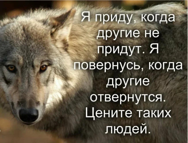 Pin by Ольга on Цитаты Feelings, Relationship, Survivor
