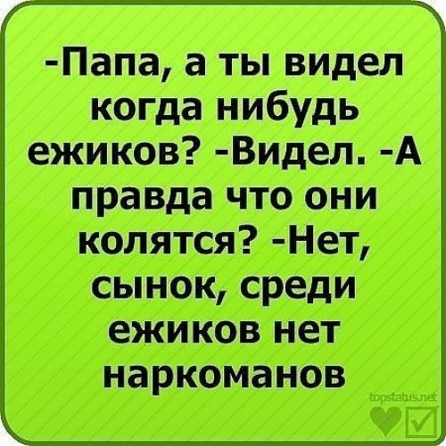 Вижу папу. Смешные статусы в ВК. Самые смешные стихи до слёз. Прикольные статусы в ВК смешные. Прикольные статусы в ВК.