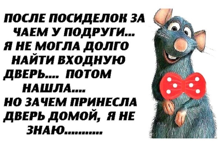 Смешные Статусы Под Фото