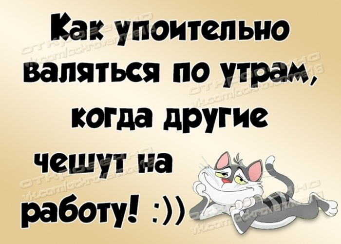 Особенно утром. Когда другие чешут на работу. Как упоительно валяться по утрам картинка. Кто рано встает тот на работу идет. Встать рано в отпуск.