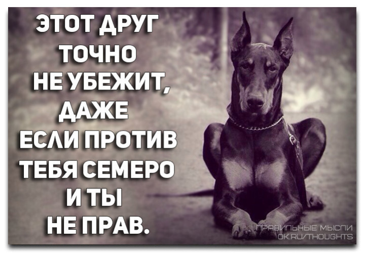 Дети бегут обнимать. Убежали даже брюки. Даже сбегая. Даже сбегая. Грязнуля из мойдодыра.