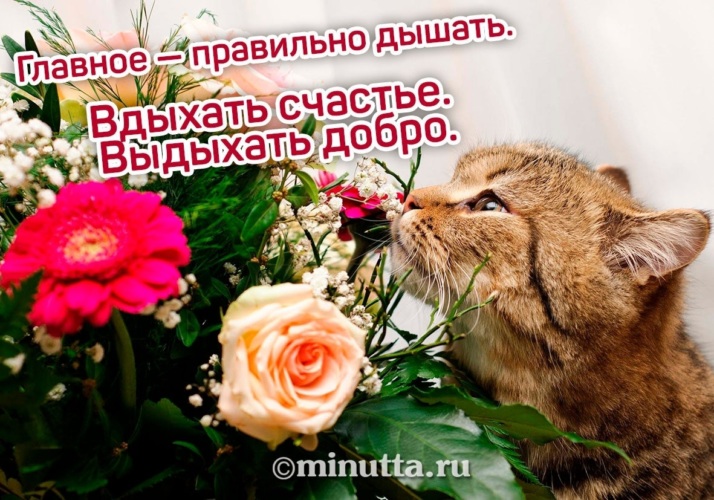 Главное правильно дышать вдыхать счастье выдыхать добро картинки