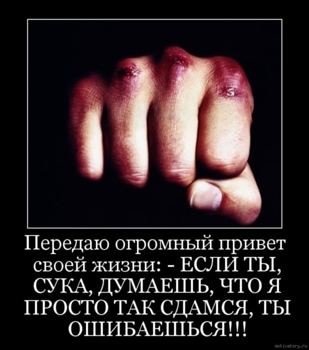 Привет сук