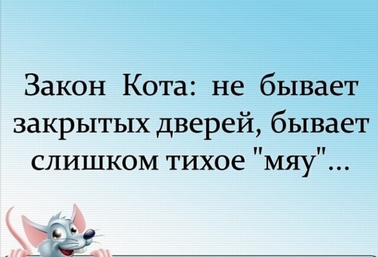 Хочется быть взрослой адекватной женщиной но мяу картинка