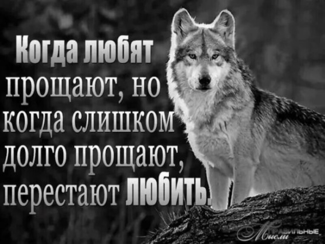 https://vk.com/wolf_life_2021 Join) 2022 Обьявления.Амвросиевка.РФ VK