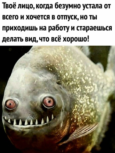 Рыба еще эта
