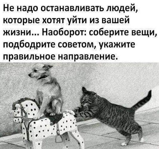 Коронавирус в мире (пандемия) - обсуждение на форуме e1.ru - страница 647