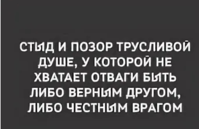 Стал трусами. Цитаты про трусость мужчин. Трусливый мужчина цитаты. Мужчина трус цитаты. Цитаты о трусливых.