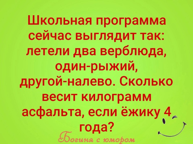 Летели два верблюда один рыжий другой налево сколько. Школьная программа теперь выглядит так летели. Школьная программа выглядит так летели два верблюда. Летели два верблюда один. Сколько лет ежику если асфальт.