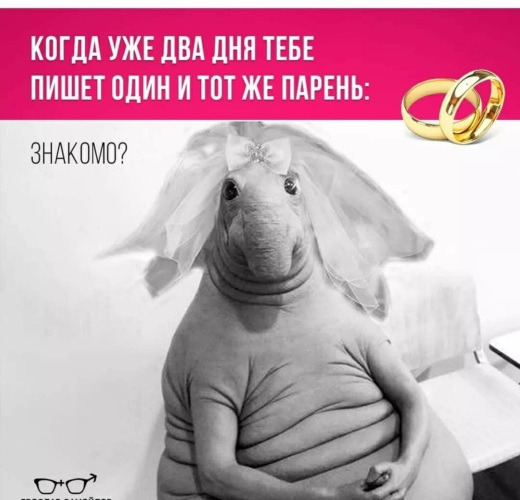 Ждун фото девушка