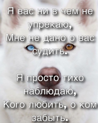 Тихо сижу и наблюдаю за натуристами Тихо сижу и наблюдаю за натуристами